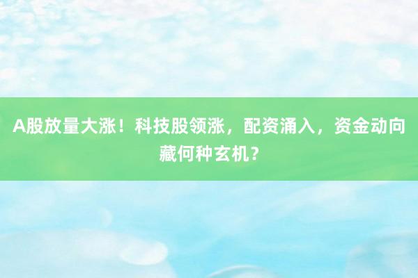 A股放量大涨!科技股领涨,配资涌入,资金动向藏何种玄机?