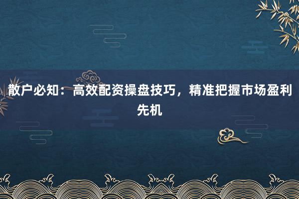 散户必知：高效配资操盘技巧，精准把握市场盈利先机