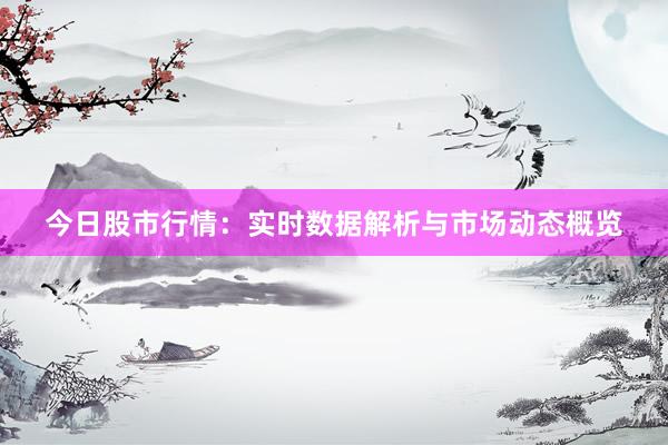 今日股市行情：实时数据解析与市场动态概览