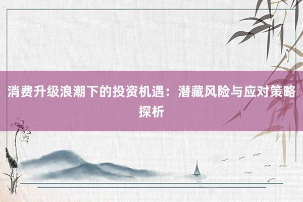 消费升级浪潮下的投资机遇：潜藏风险与应对策略探析