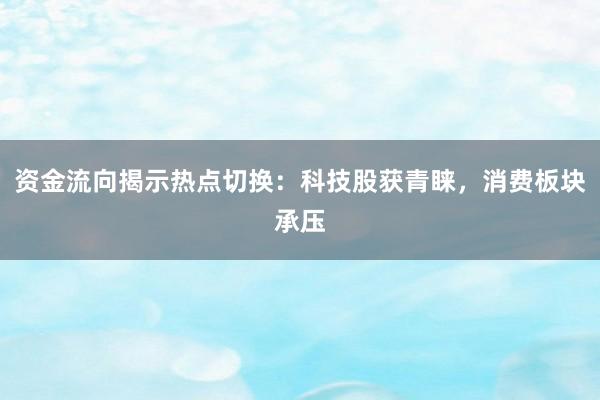 资金流向揭示热点切换:科技股获青睐,消费板块承压