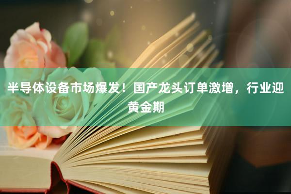 半导体设备市场爆发！国产龙头订单激增，行业迎黄金期