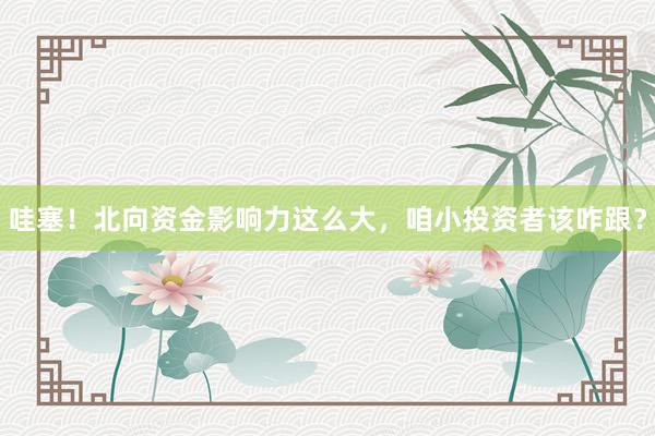 哇塞！北向资金影响力这么大，咱小投资者该咋跟？