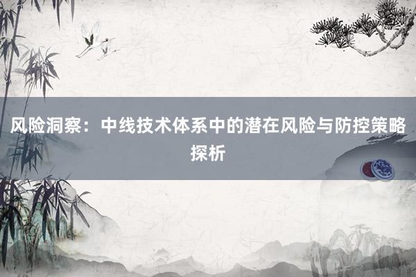 风险洞察:中线技术体系中的潜在风险与防控策略探析