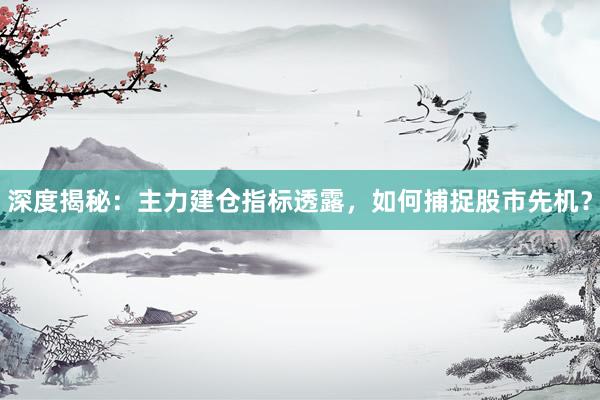 深度揭秘：主力建仓指标透露，如何捕捉股市先机？