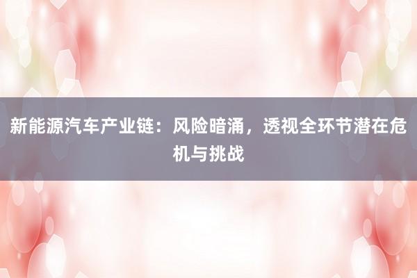 新能源汽车产业链：风险暗涌，透视全环节潜在危机与挑战