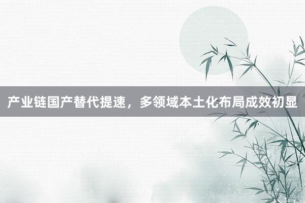产业链国产替代提速，多领域本土化布局成效初显