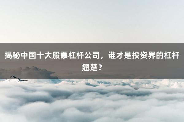 揭秘中国十大股票杠杆公司，谁才是投资界的杠杆翘楚？