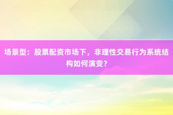 场景型：股票配资市场下，非理性交易行为系统结构如何演变？