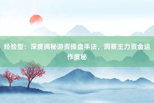 经验型：深度揭秘游资操盘手法，洞察主力资金运作奥秘