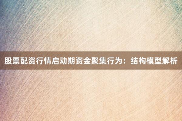 股票配资行情启动期资金聚集行为：结构模型解析